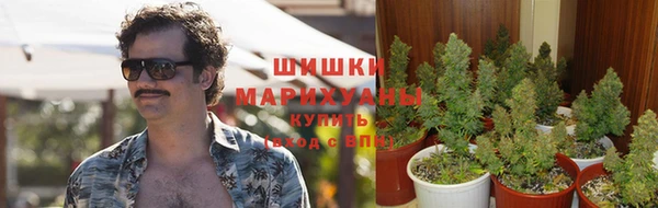 мдпв Тавда