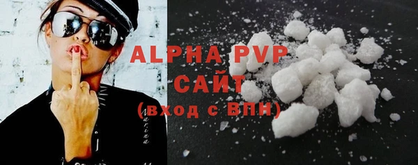 стафф Осташков