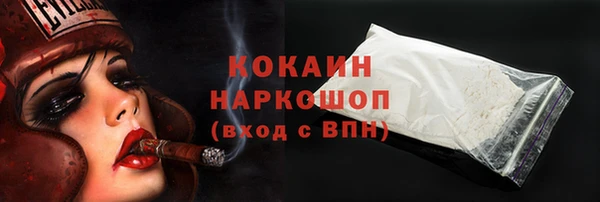 стафф Осташков