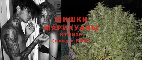 стафф Осташков