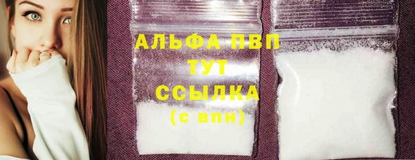 стафф Осташков
