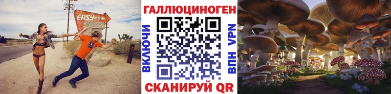 где купить наркотик  Торопец  Галлюциногенные грибы ЛСД 